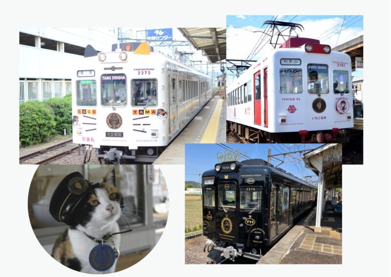 Cat as Station Master Tama Wakayama Electric Railway, Kishigawa Line