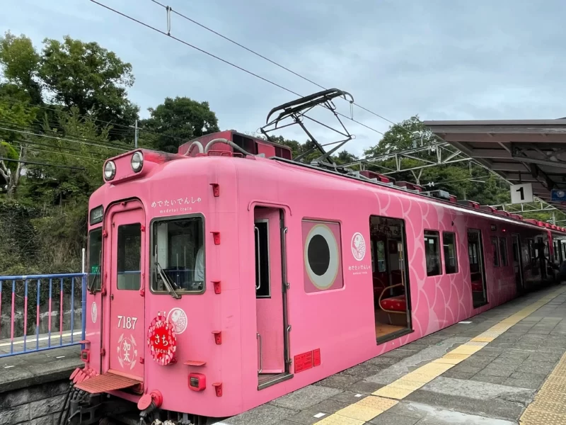 加太駅に停まるめでたい電車｜和歌山 加太のおすすめ｜自然と昭和ノスタルジックな街ブラ観光